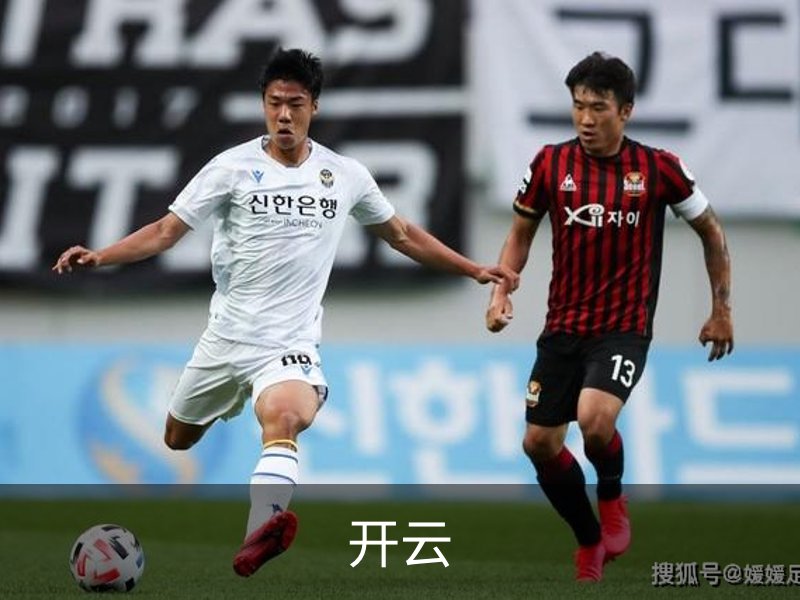 开云介绍